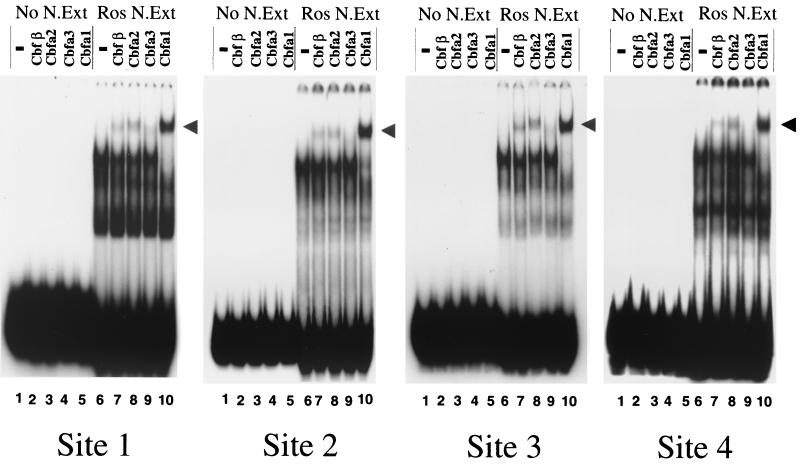 FIG. 5