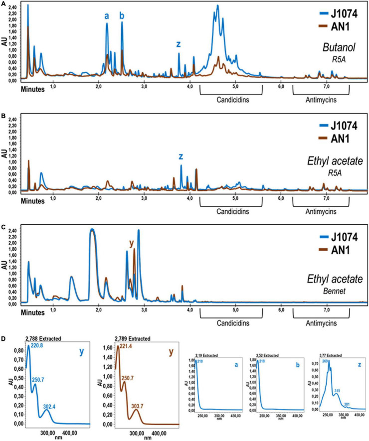 FIGURE 3