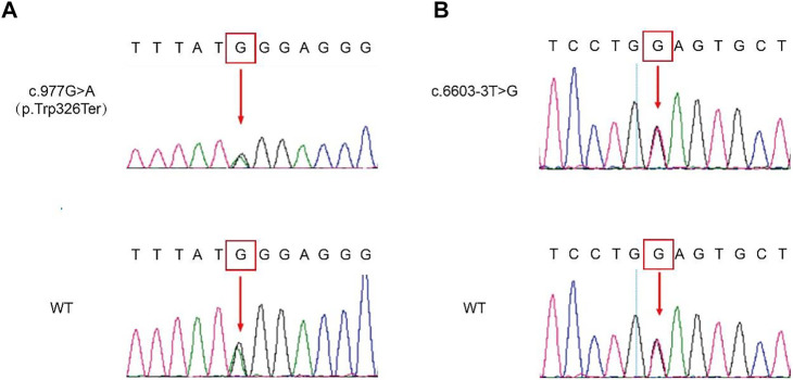 FIGURE 3