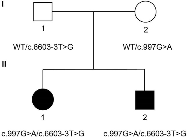 FIGURE 1