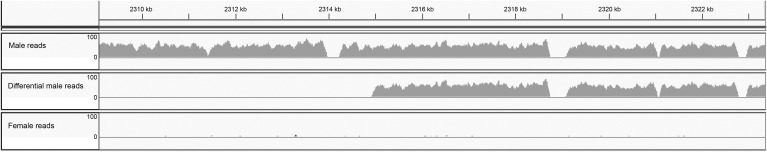 Figure 6.