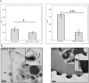 Fig 8