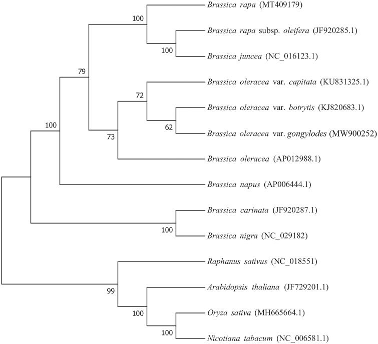 Figure 1.