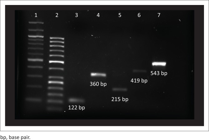 FIGURE 1