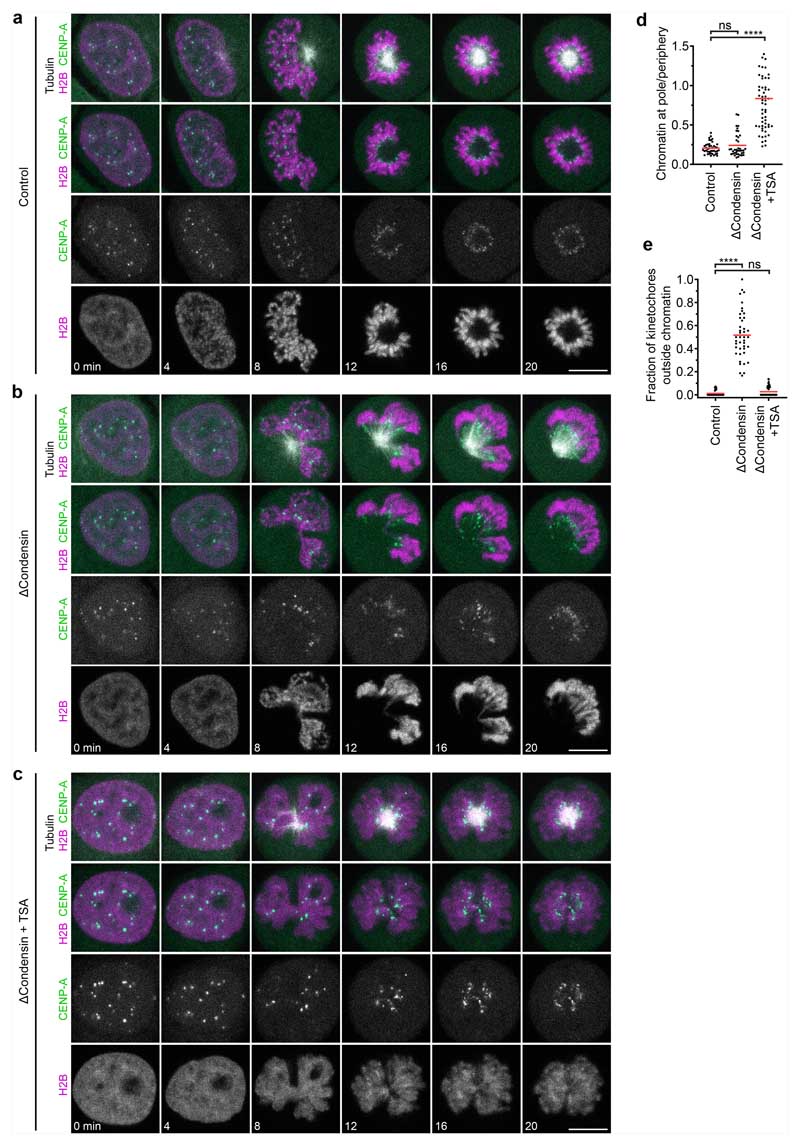 Extended Data Fig. 2