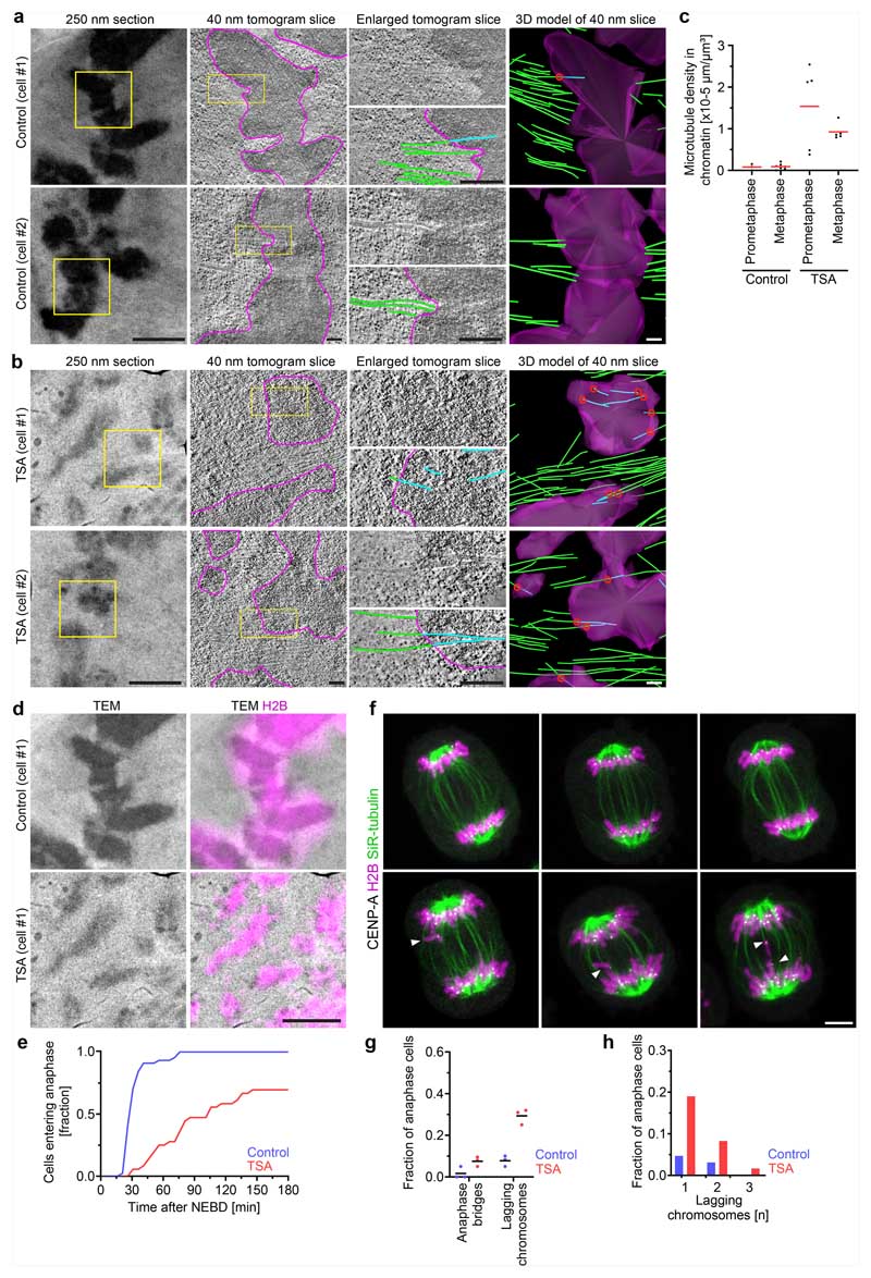 Extended Data Fig. 6