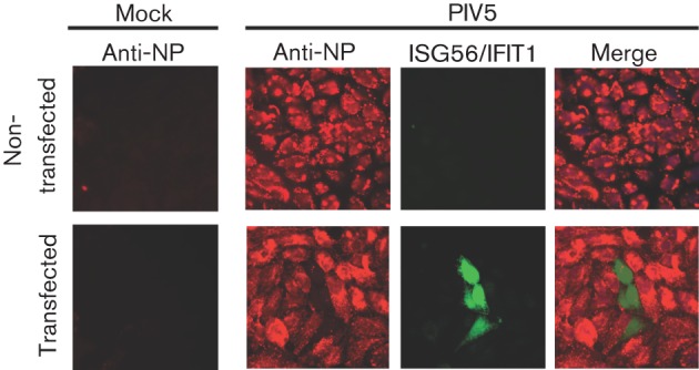 Fig. 1. 