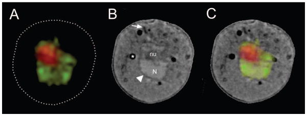 Fig. 4