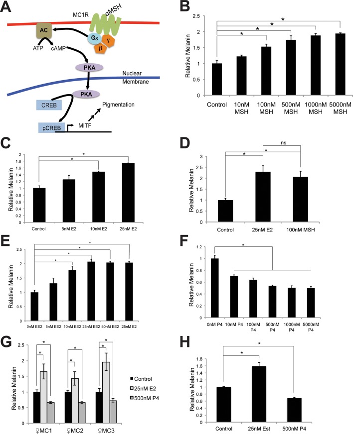 Figure 1—figure supplement 1.