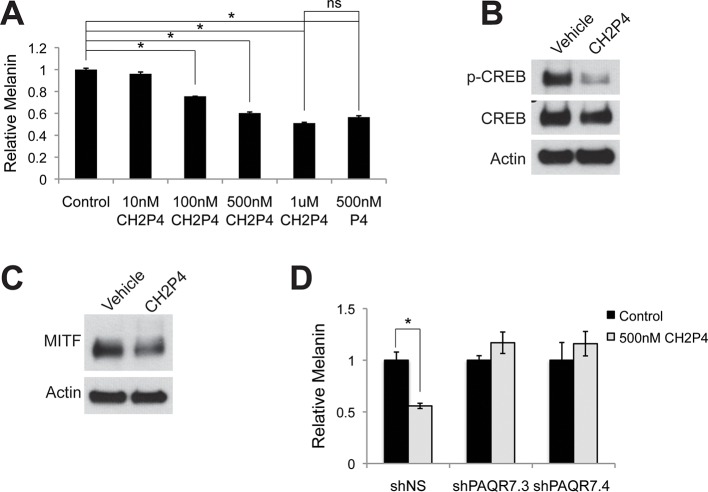 Figure 3—figure supplement 3.