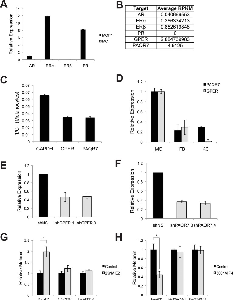 Figure 2—figure supplement 1.