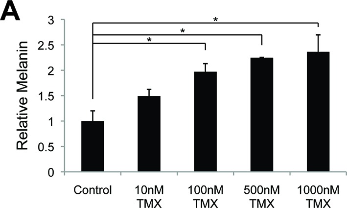 Figure 3—figure supplement 1.