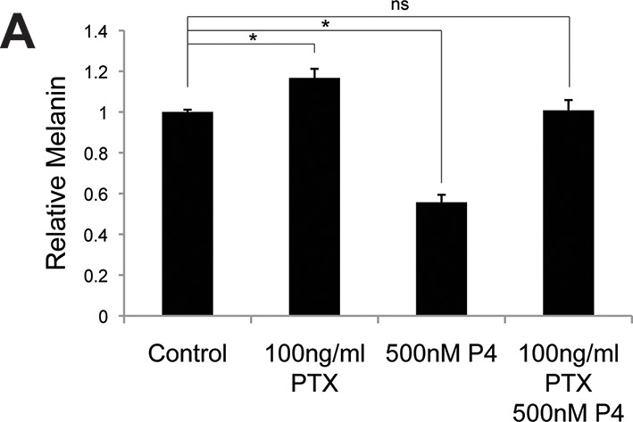 Figure 2—figure supplement 2.