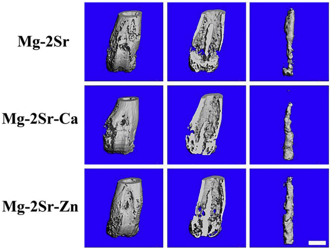 Fig. 11