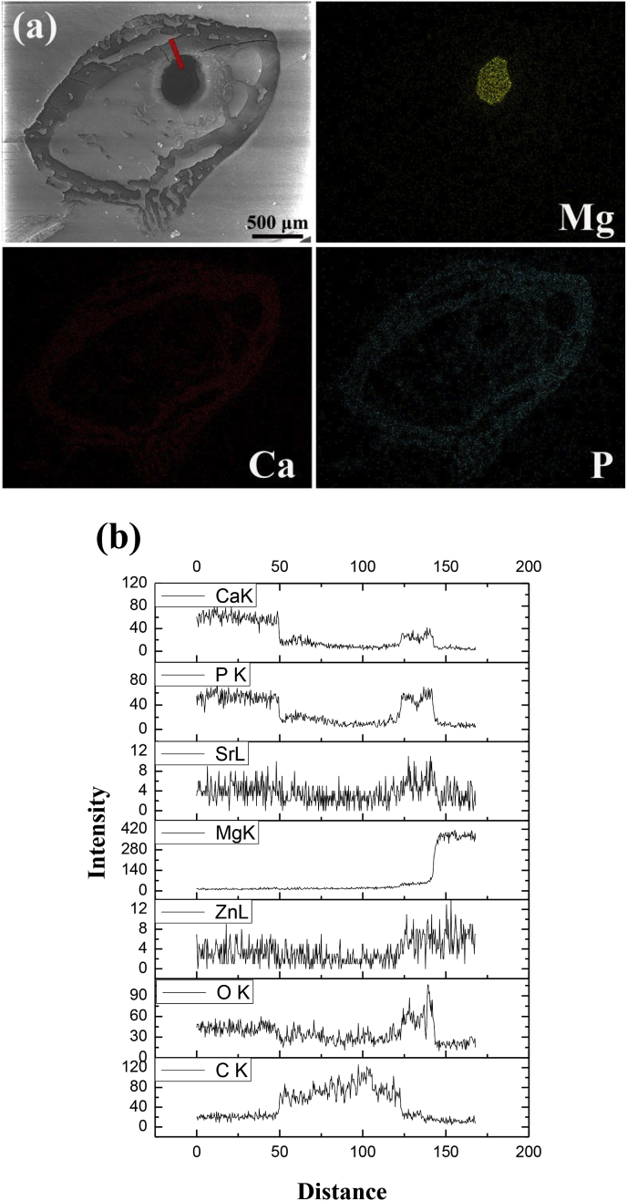 Fig. 10