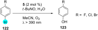 Scheme 19