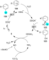 Figure 20