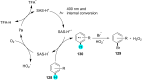 Figure 21