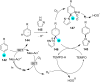 Figure 24