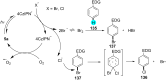 Figure 23