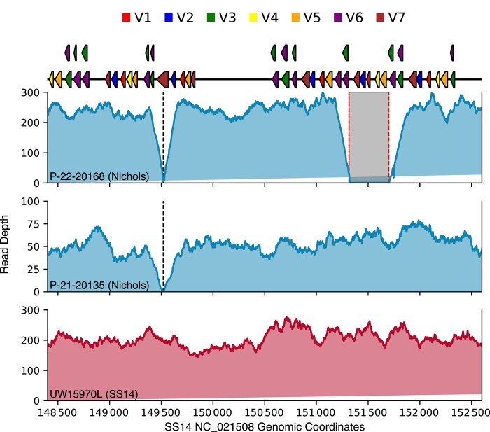 Figure 4.