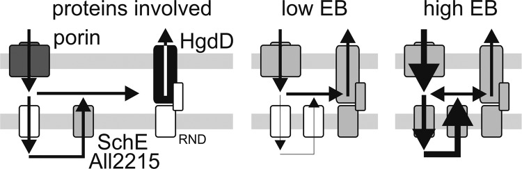 FIGURE 12.