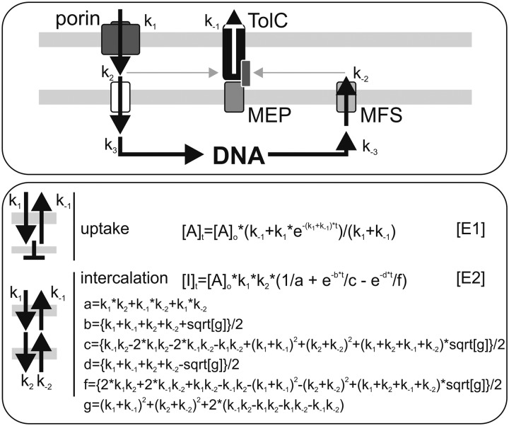 FIGURE 1.