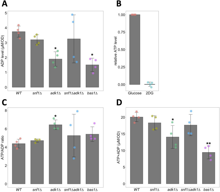 Figure 1—figure supplement 3.