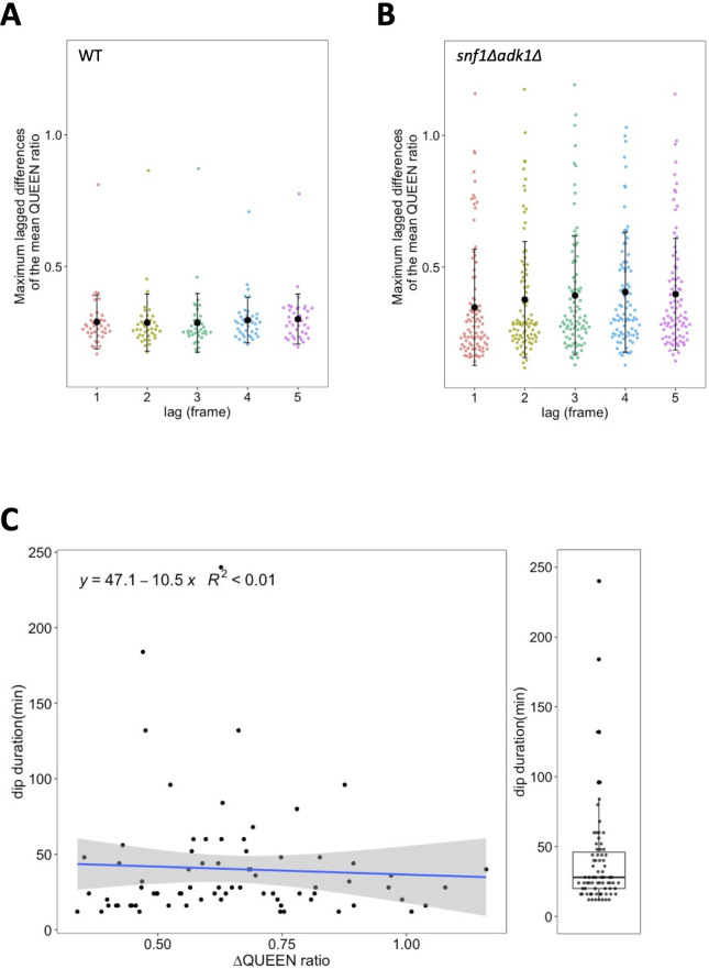 Figure 2—figure supplement 2.