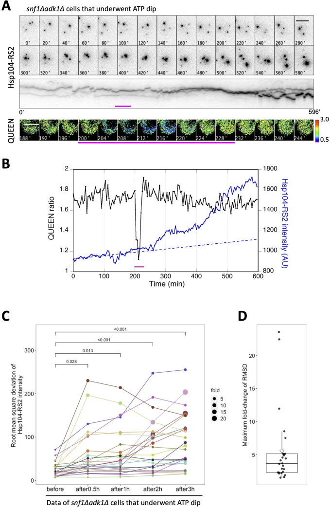 Figure 7.