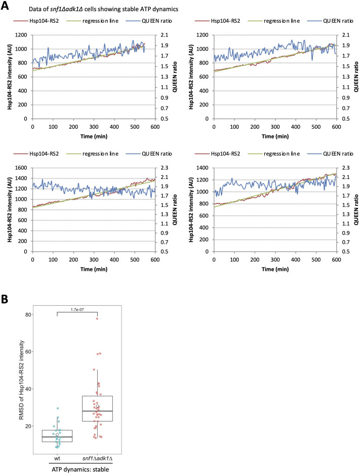 Figure 6—figure supplement 2.