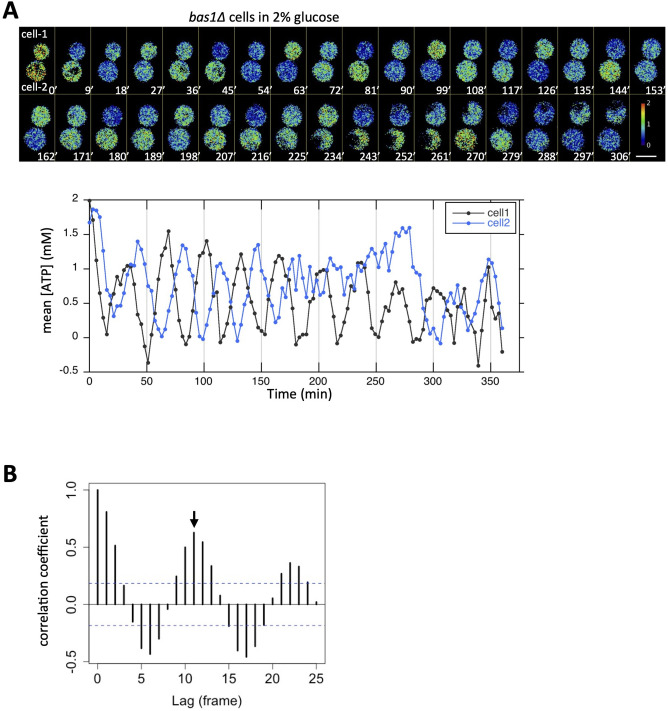 Figure 2—figure supplement 3.