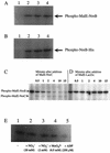 FIG. 5.