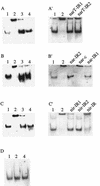 FIG. 8.