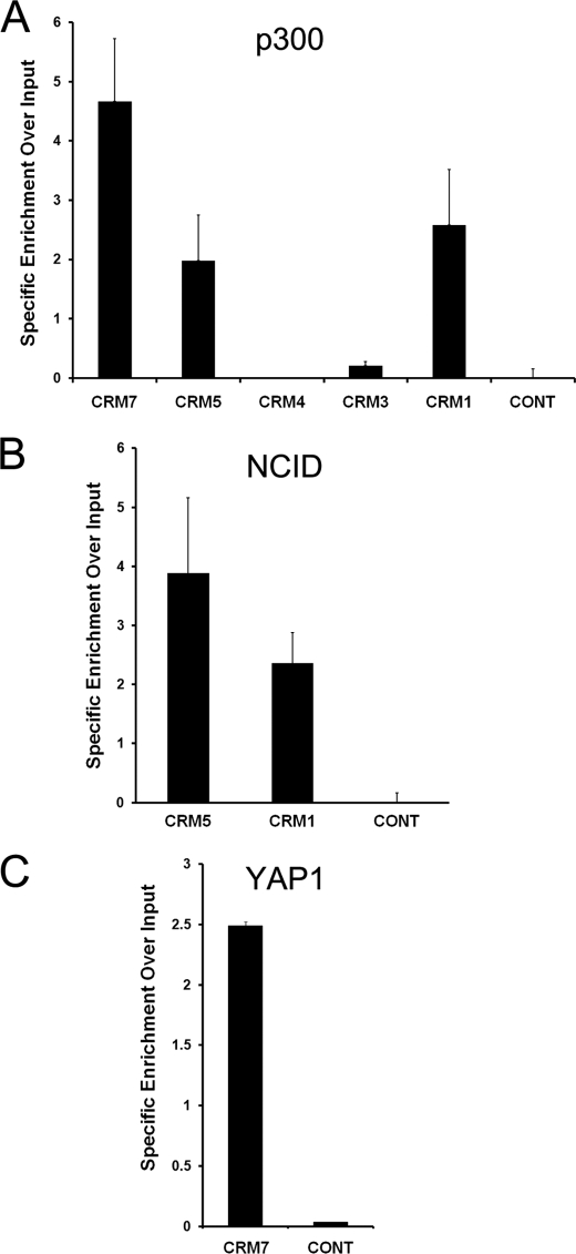 FIGURE 5.