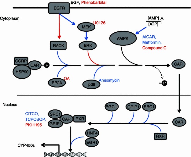 Figure 3