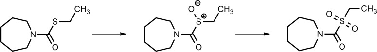 Fig. 10.