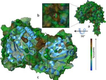 Fig. 4.