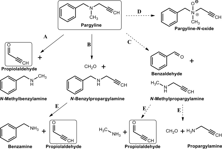 Fig. 12.