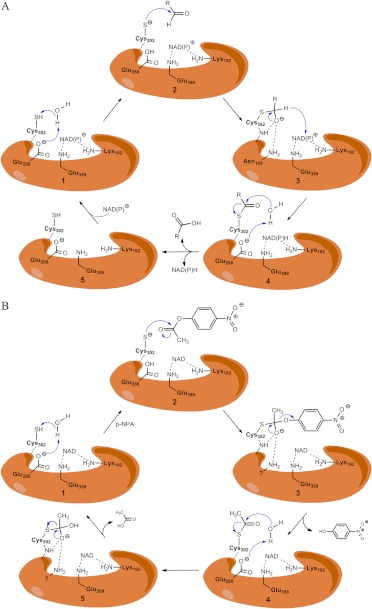 Fig. 3.