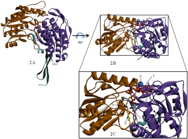 Fig. 2.