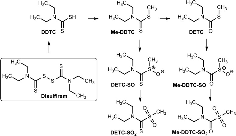 Fig. 9.