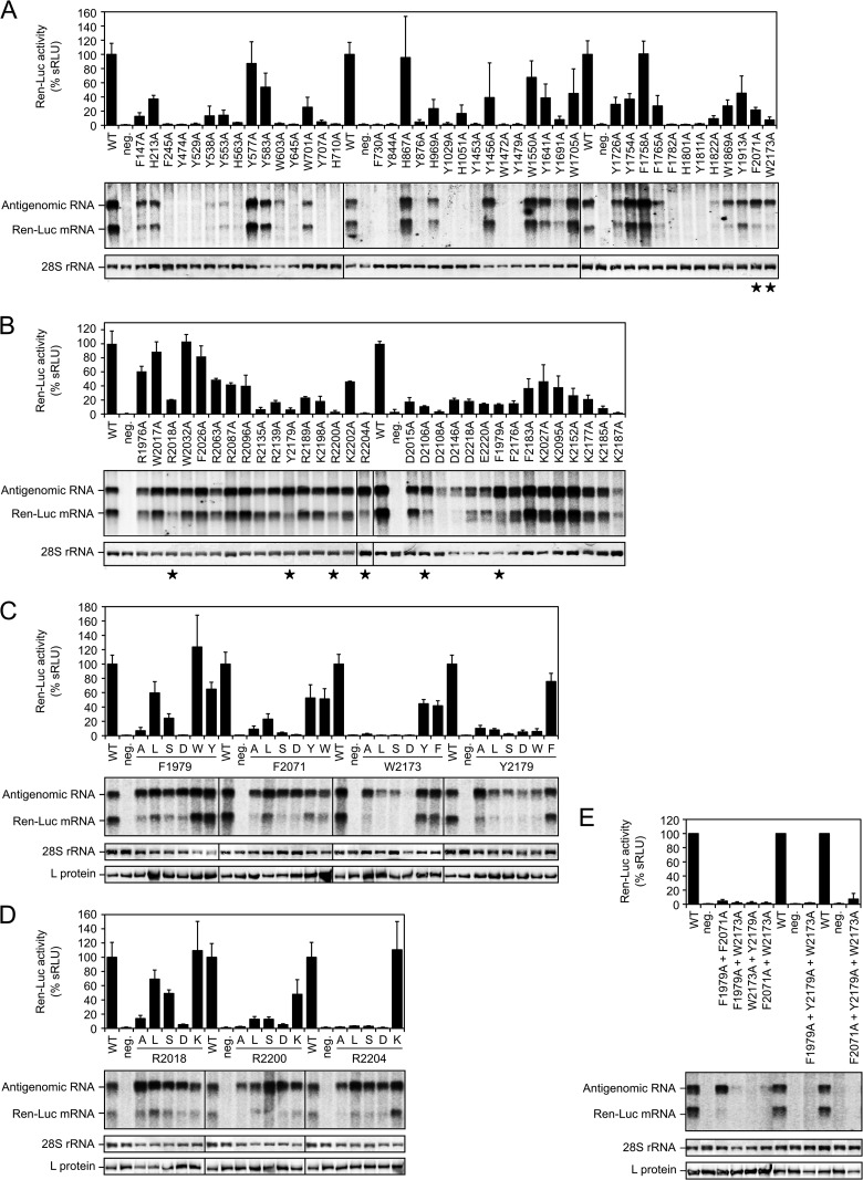 FIG 1