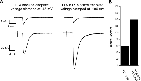 Fig. 5.