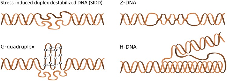 Fig. 4.