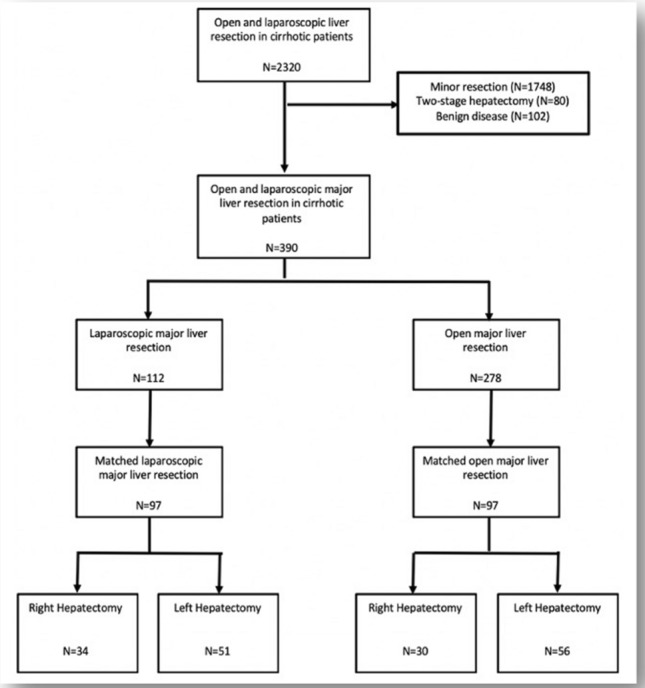 graphic file with name 464_2022_9337_Figas_HTML.jpg