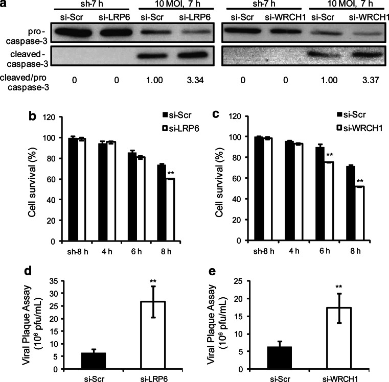 Fig. 7