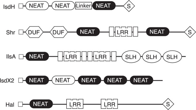 FIGURE 7.