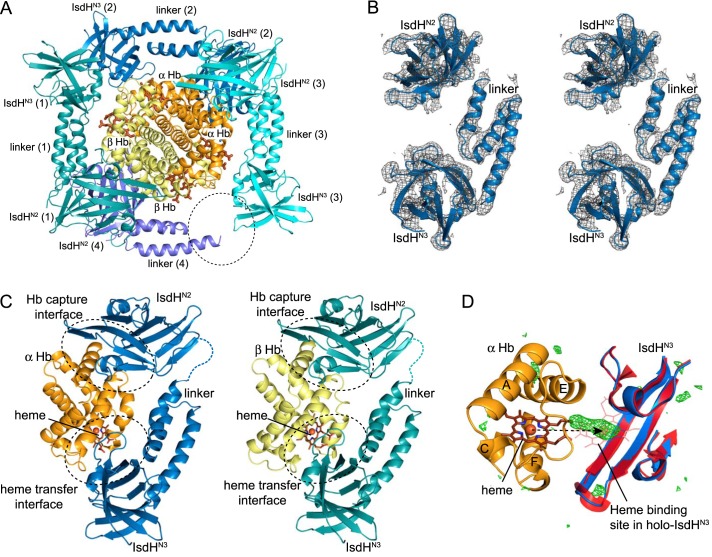 FIGURE 3.