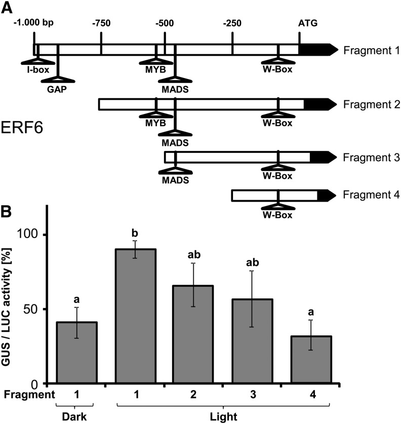 Figure 7.